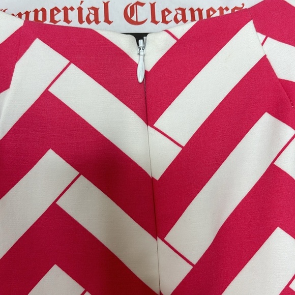 Elizabeth McKay || Hot Pink Bamboo Chevron Fit & Flare Dress w/POCKETS; Size 2 - Picture 10 of 17